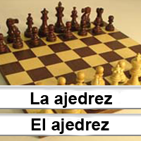 Articles: Spanish Article Game